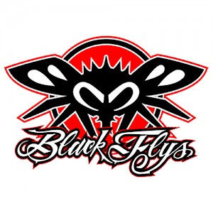 Black Flys